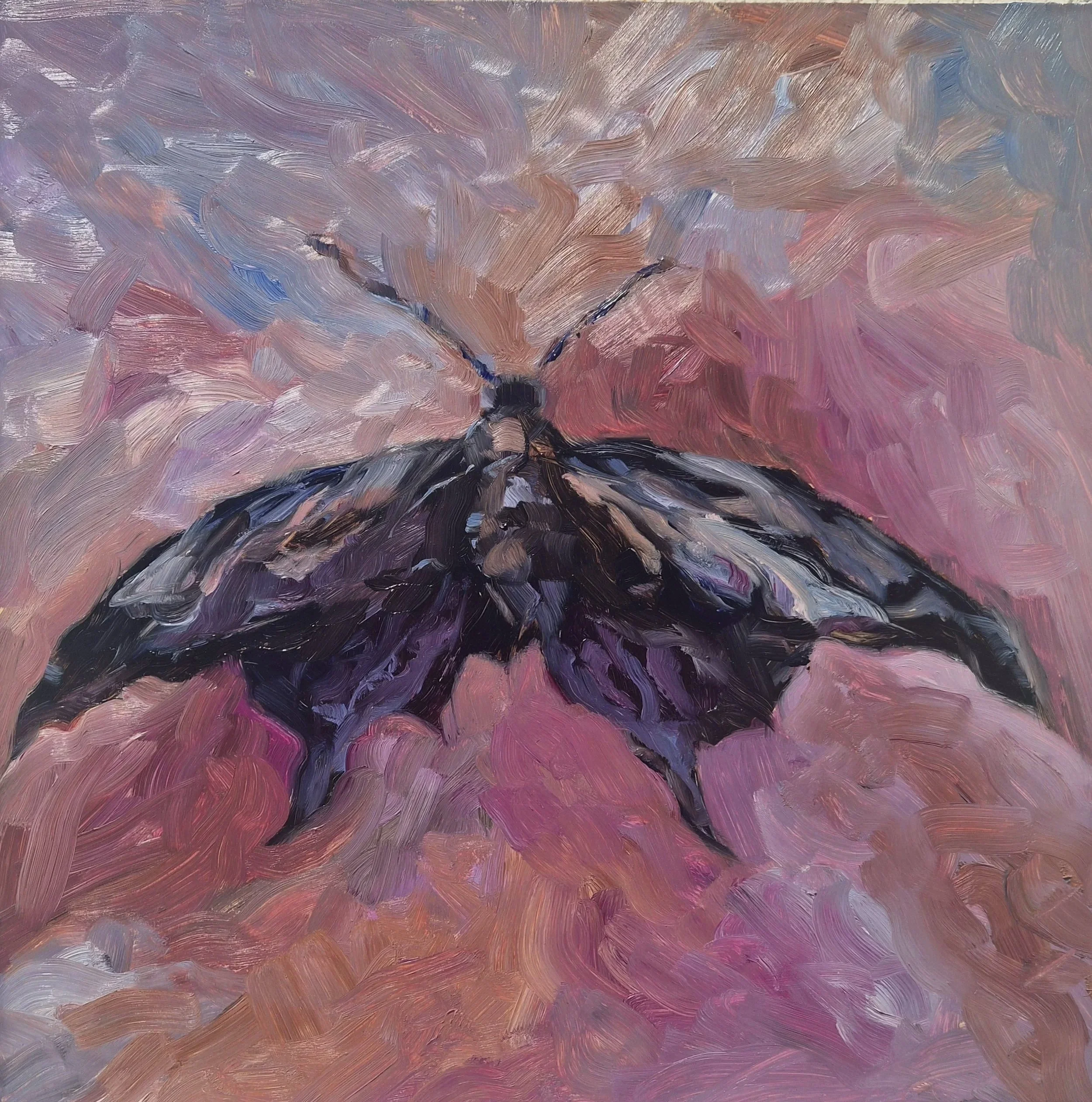 2026
oil on wood panel
16" x 16"