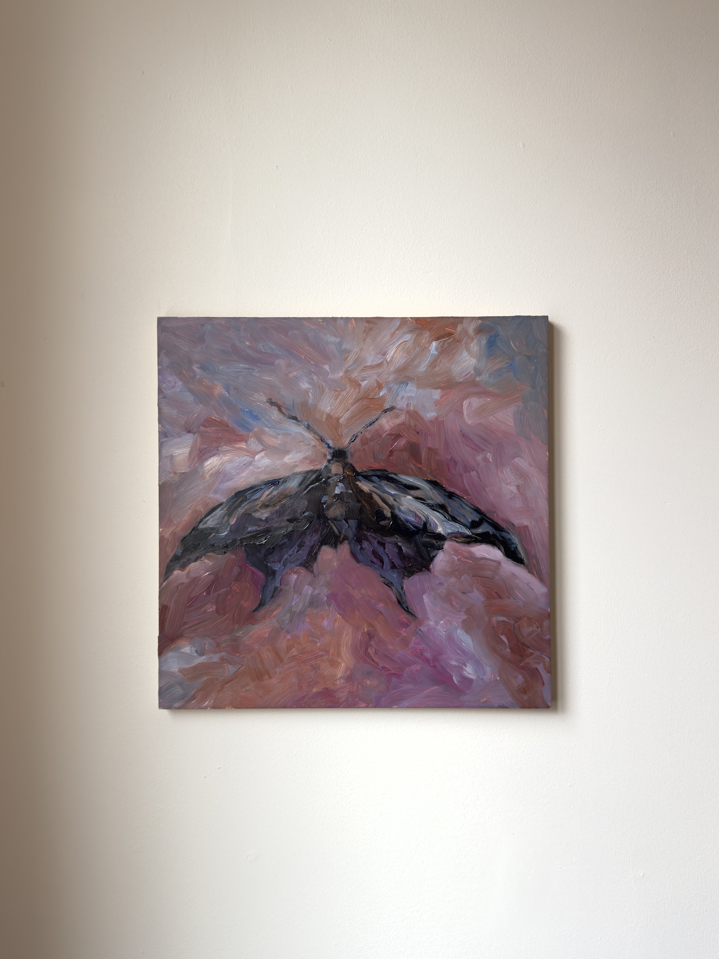 Black Moth_in situ_Cassandra Armstrong.jpg