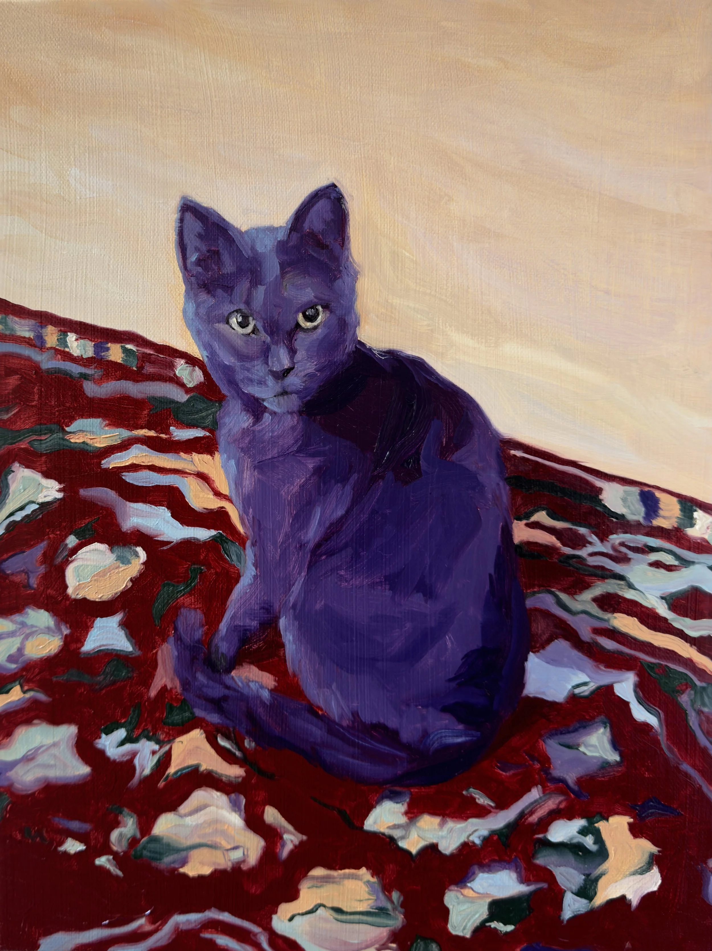 Black Cat on a Carpet, 2026, oil on canvas, 12x16