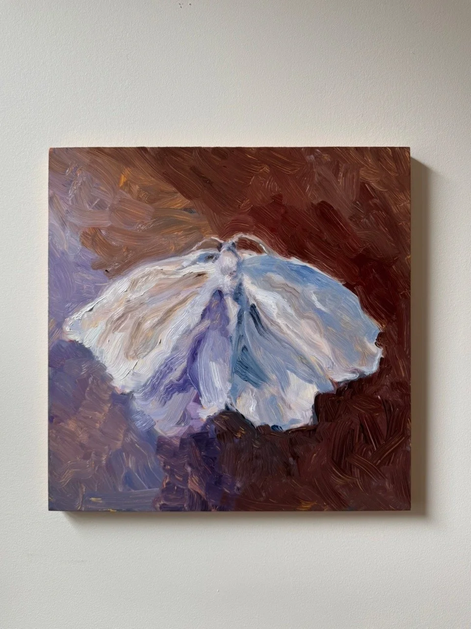White Moth painting_full view_cassandraarmstrong.jpeg