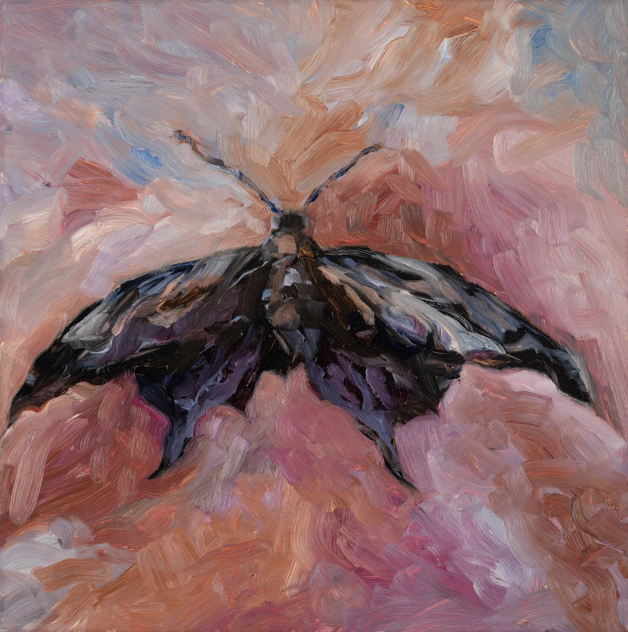 Original Oil Painting | Black Moth