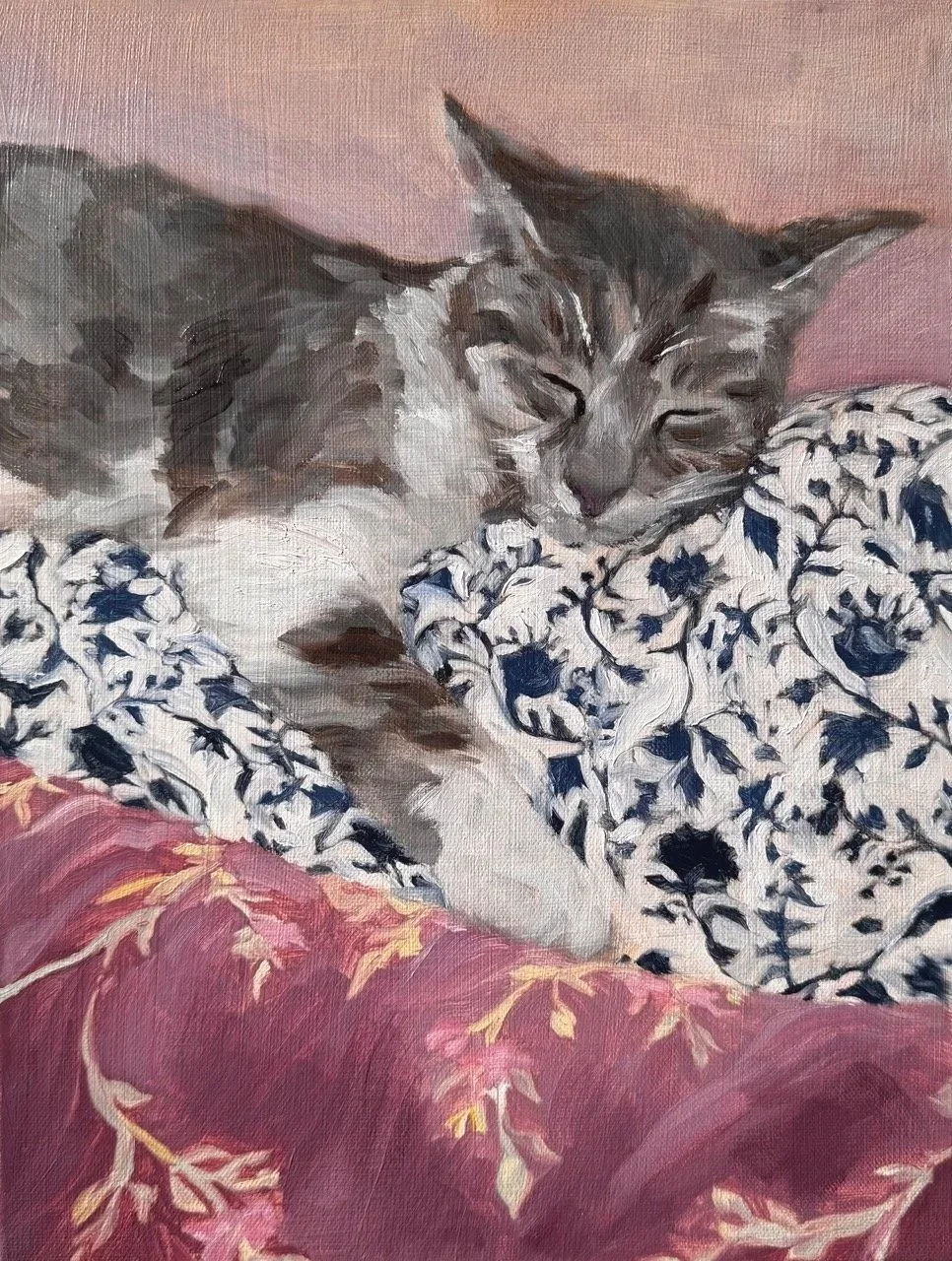 cat+repose+full+image+large+file.jpg