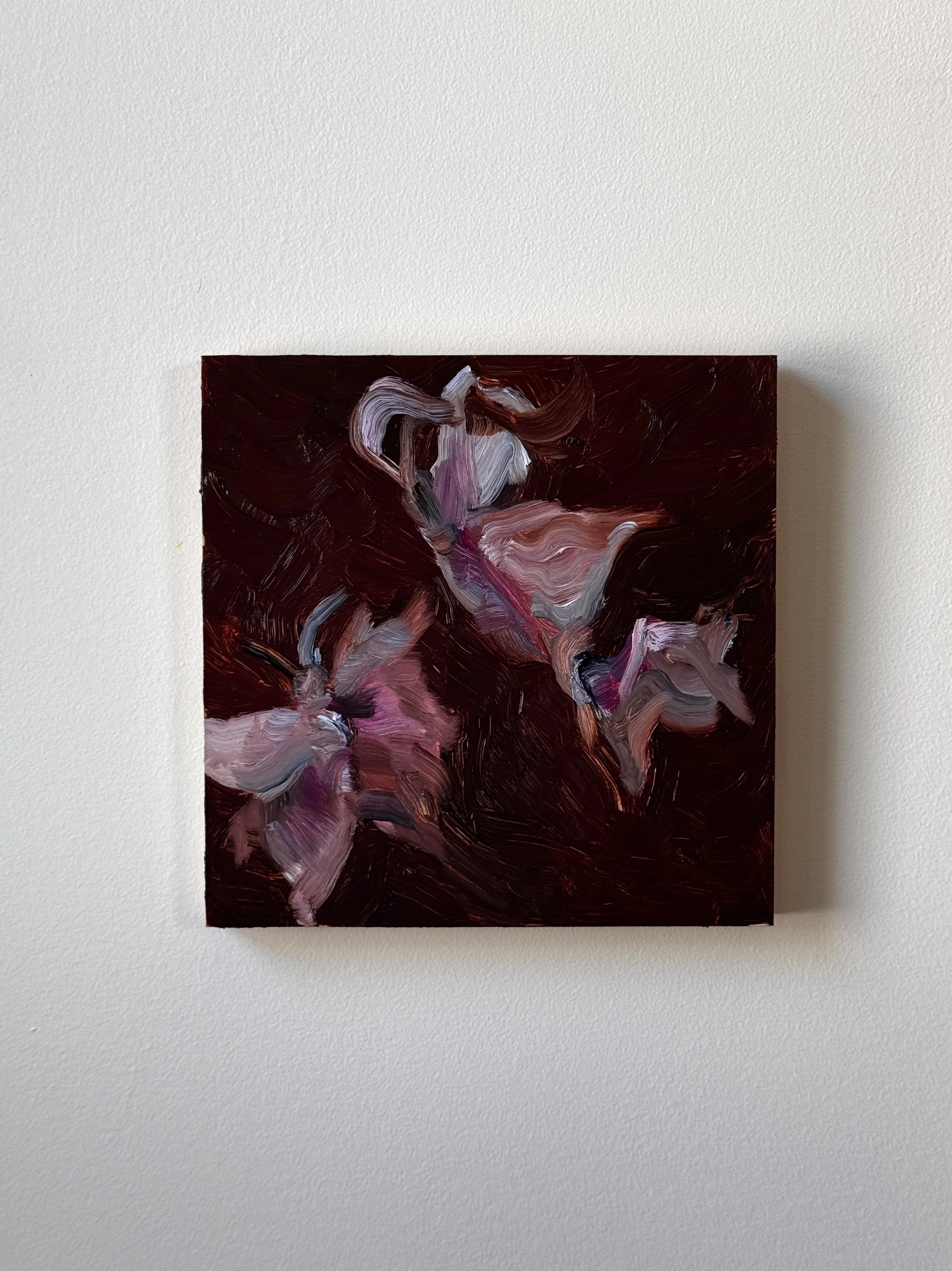 Abstracting Butterflies 1_in situ_Cassandra Armstrong.JPG
