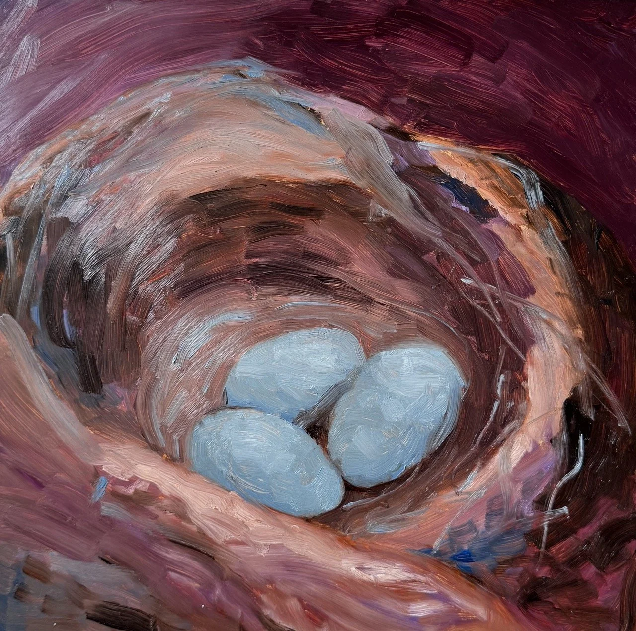 Robin Egg_Full Image_Cassandra A.jpeg