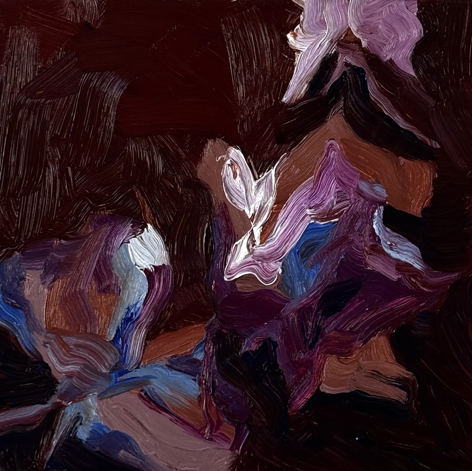 Butterflies 2_full image_Cassandra Armstrong.jpg