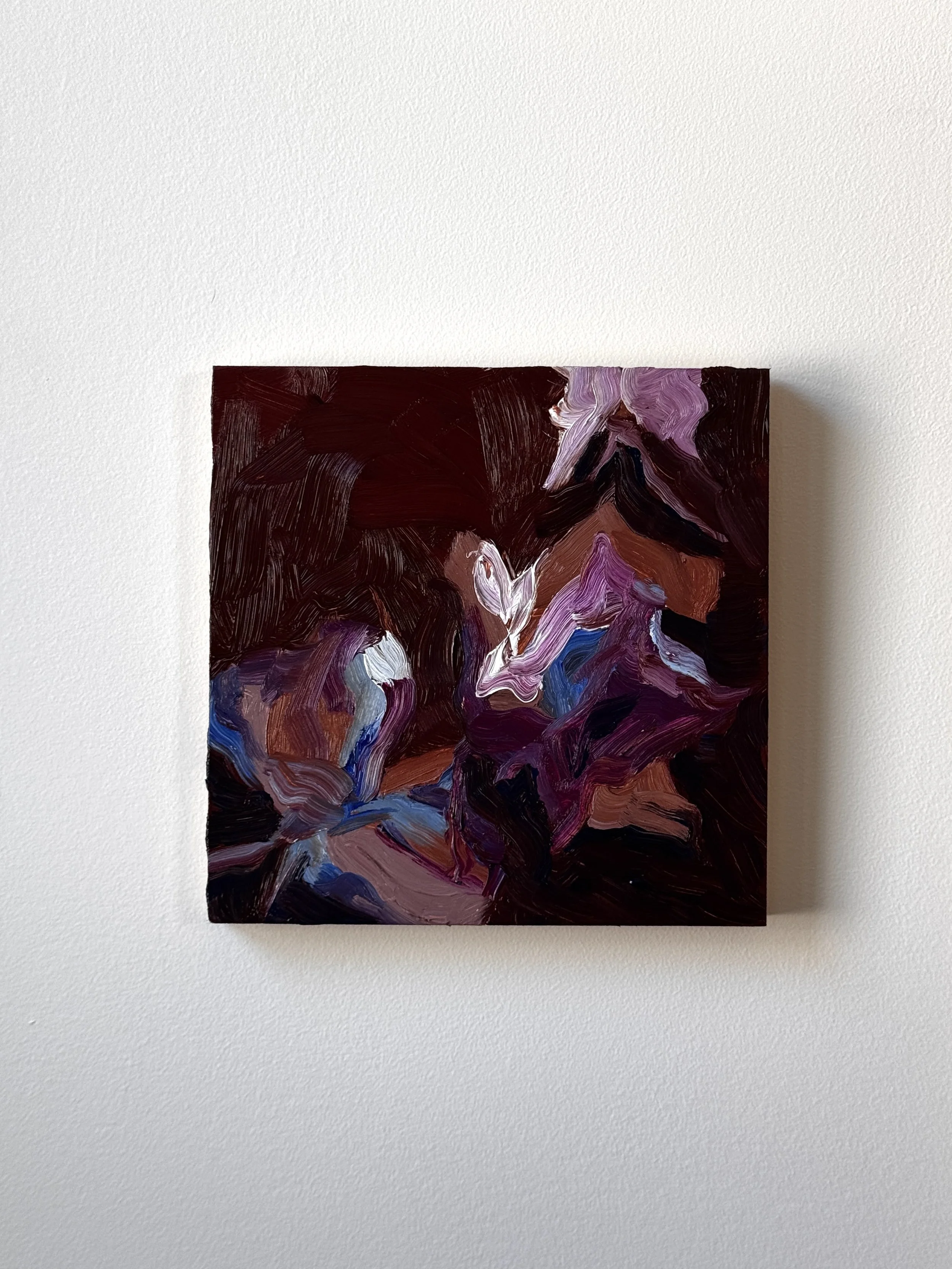 Butterflies 2_in situ_Cassandra Armstrong.JPG