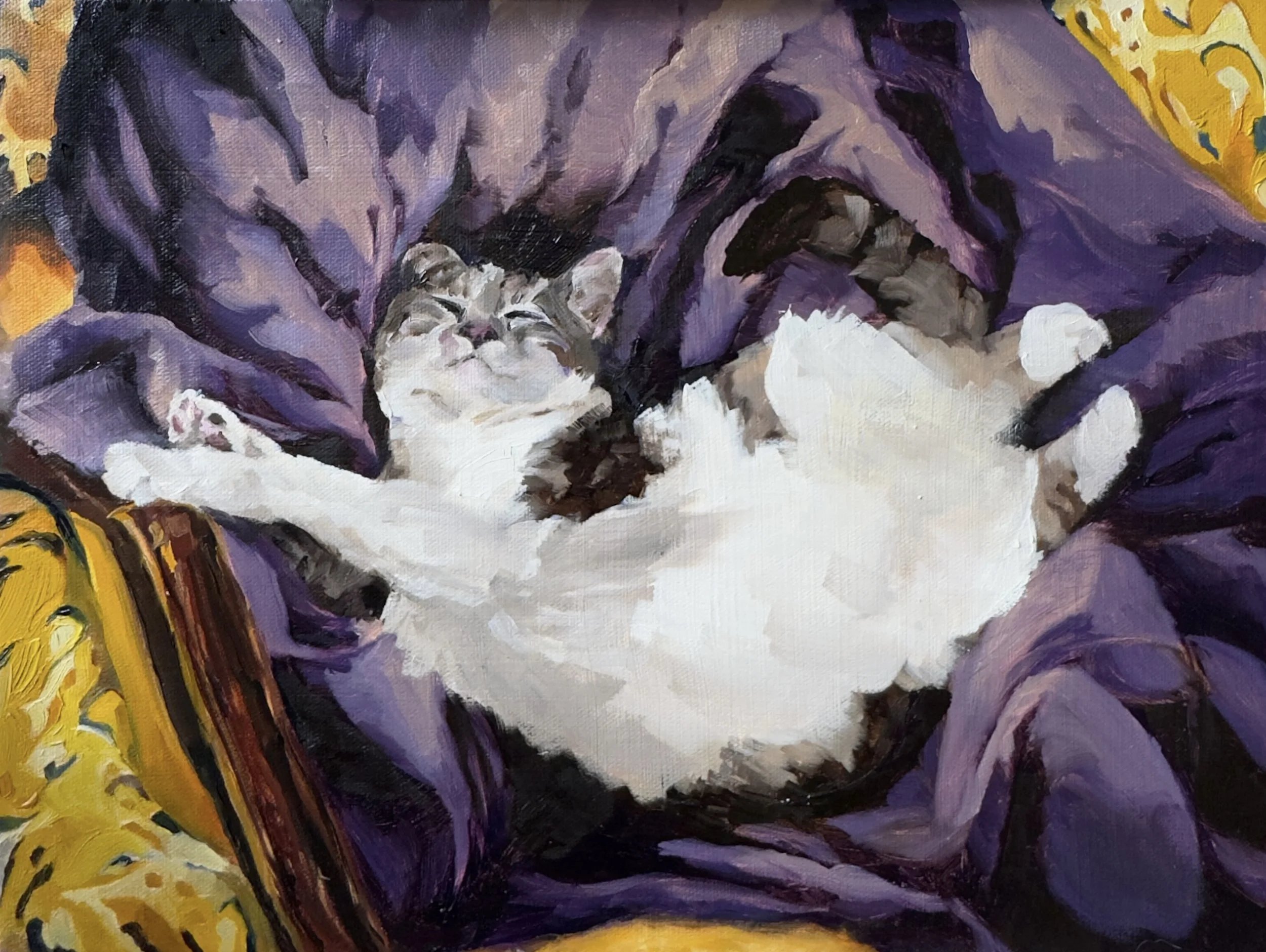 70s cat on blanket - cropped.jpg