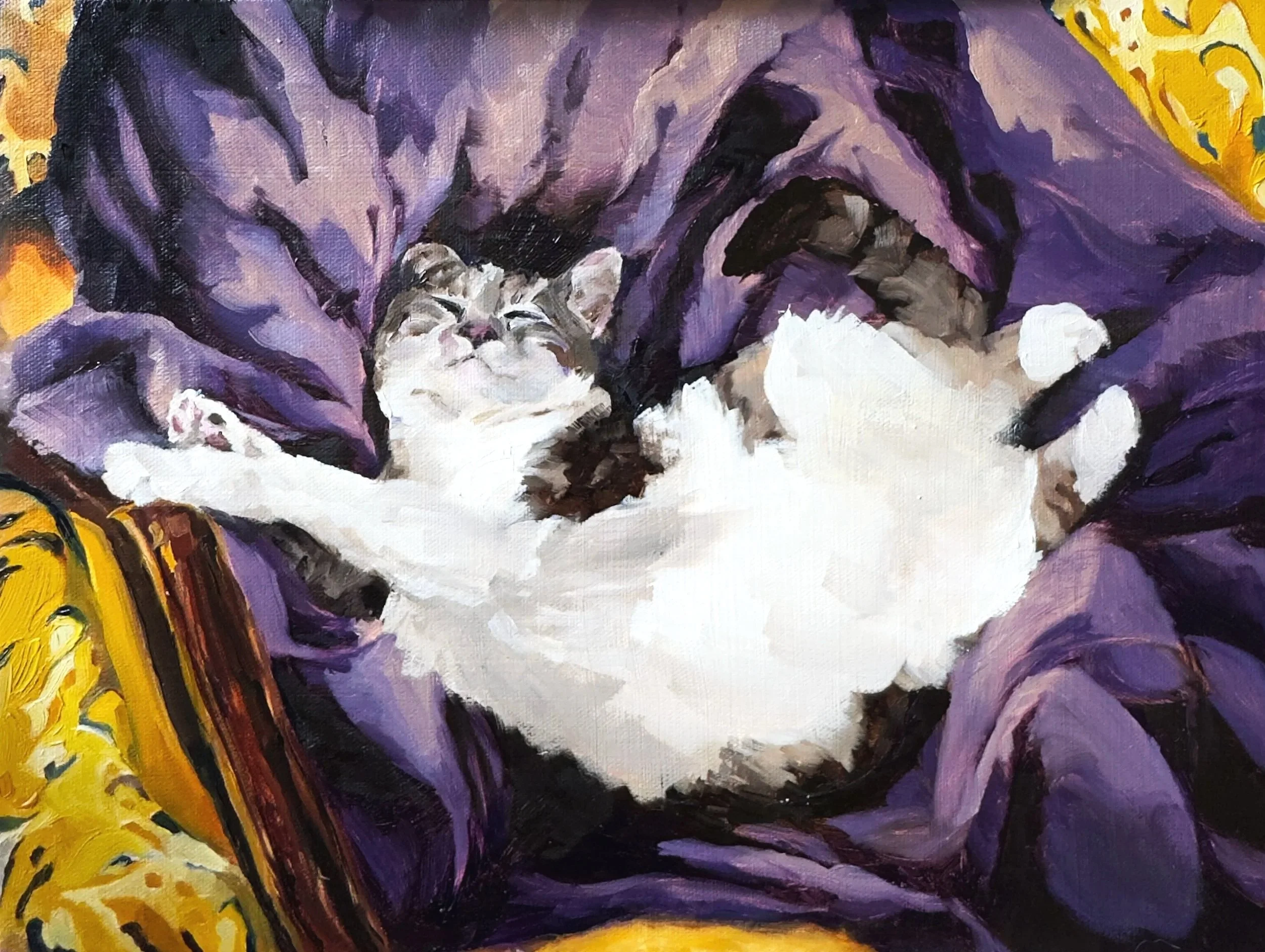 70s+cat+on+blanket+-+cropped.jpg