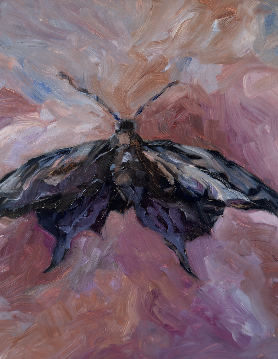 Original Oil Painting | Black Moth