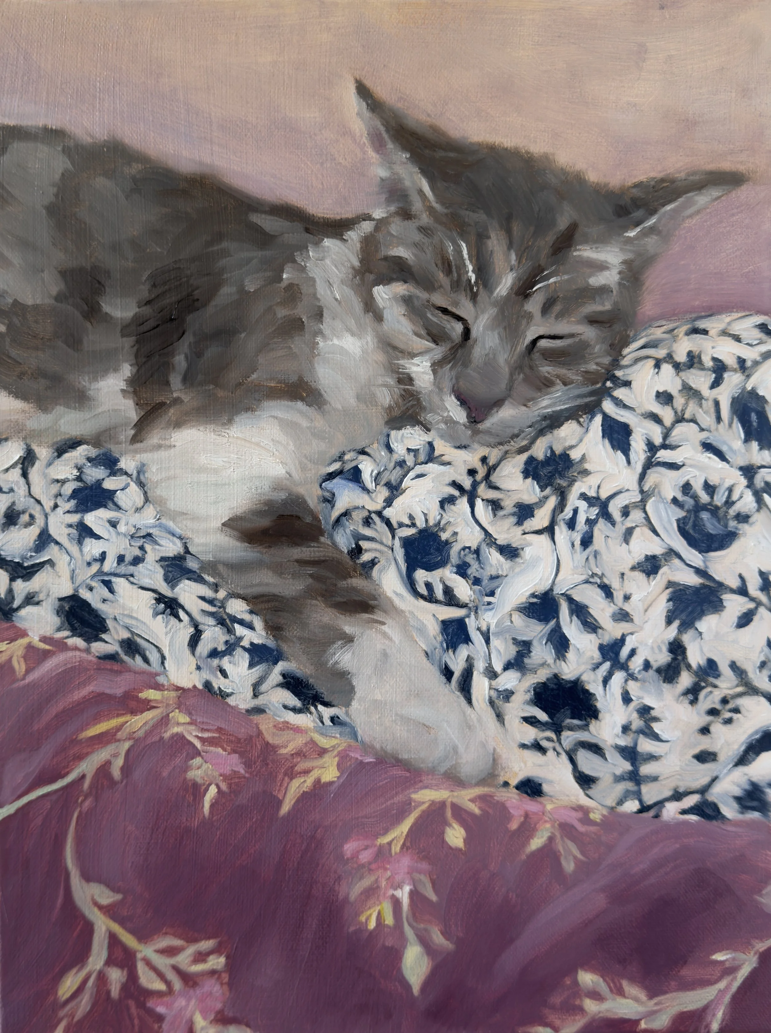 Cat in Repose, 2026, oil on canvas, 12x16