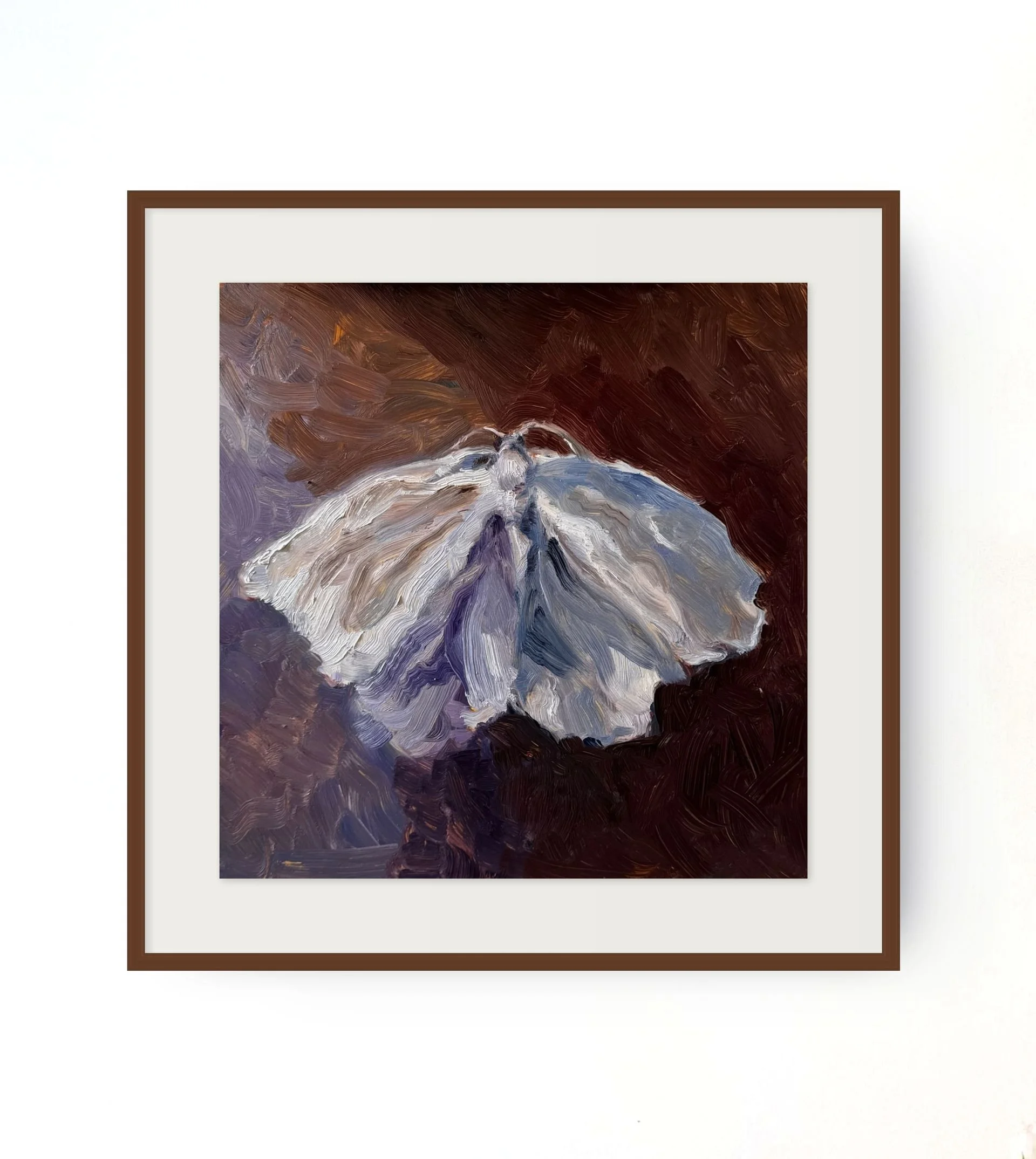 white moth framed_fine art print-medium (2).jpg