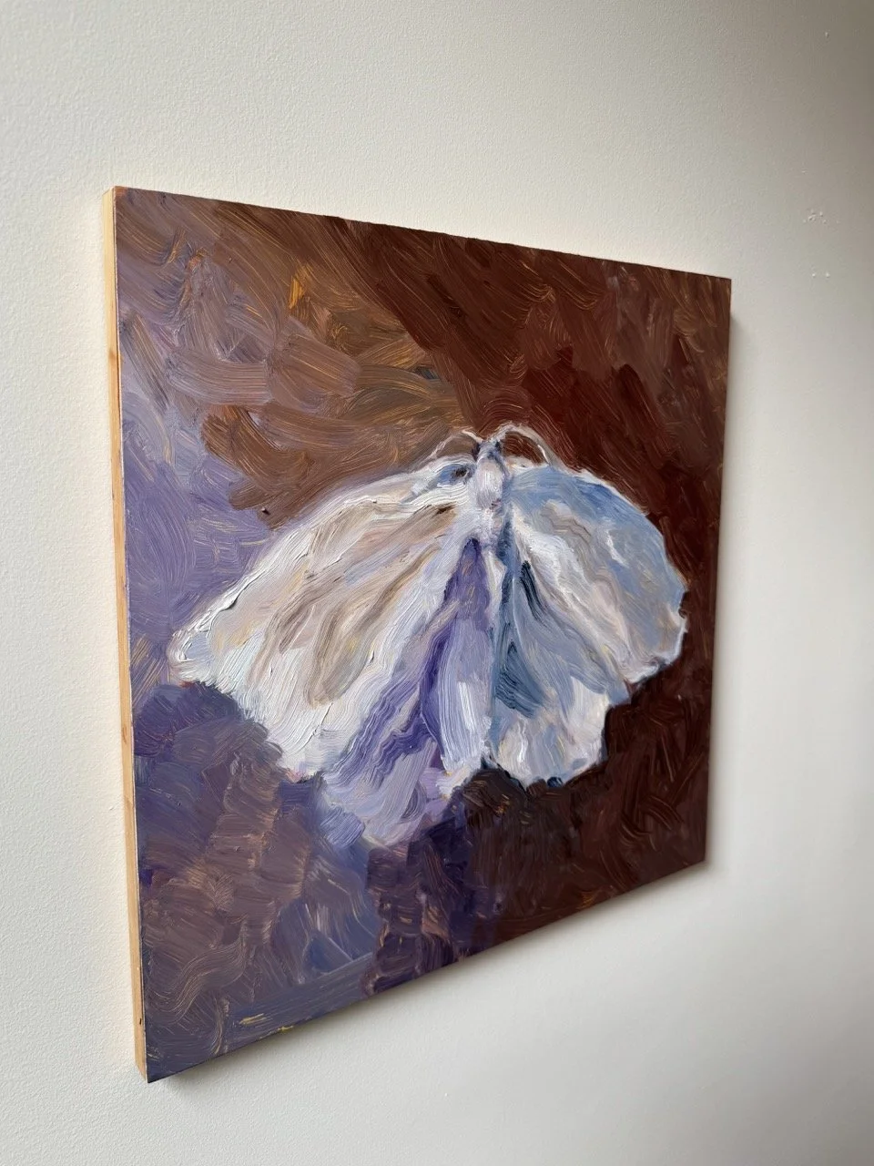White Moth painting_angle view large_cassandraarmstrong.jpeg