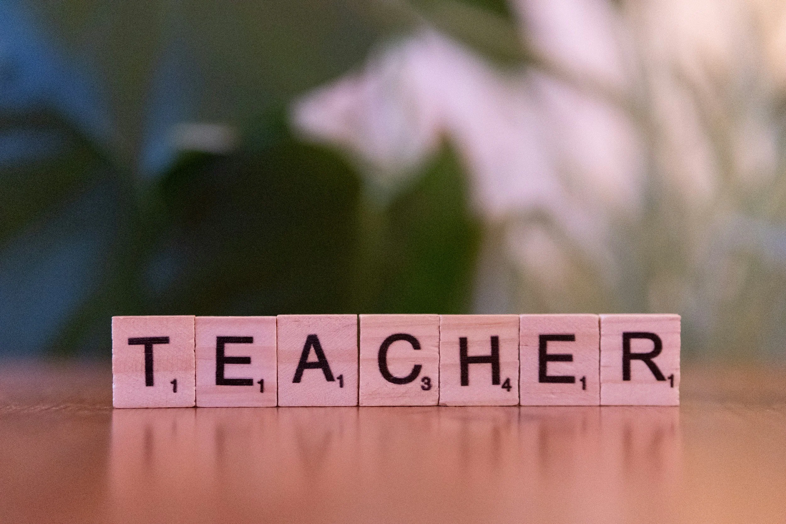 Teacher Work Day-No School