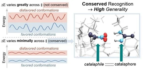Publications — The Johnston Laboratory for Chemical Synthesis