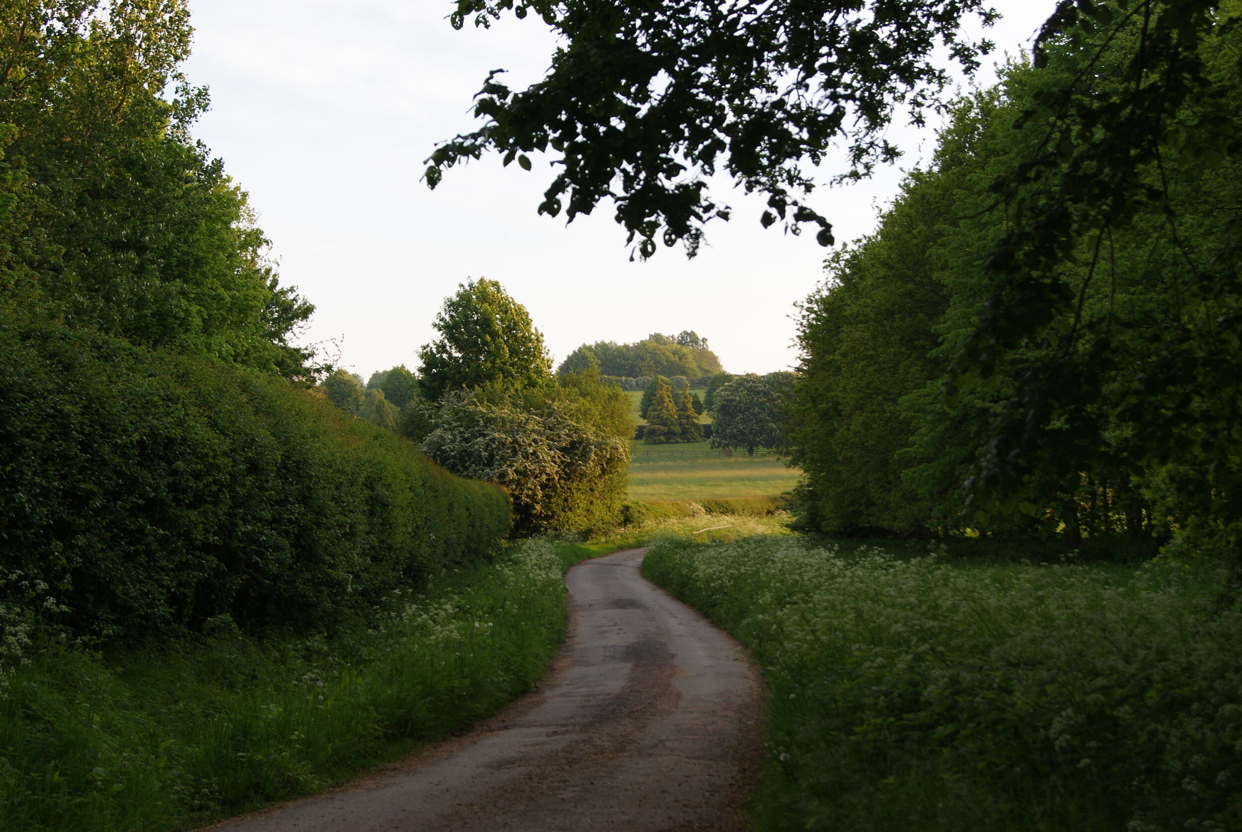 Sur la route (11).JPG