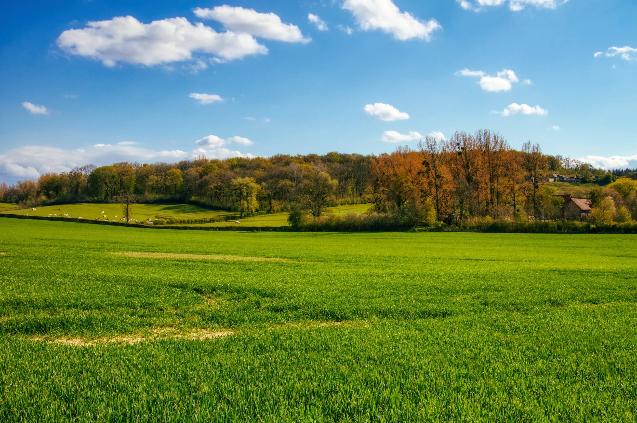 A first-time deer stalking experience with Chiltern Sporting
