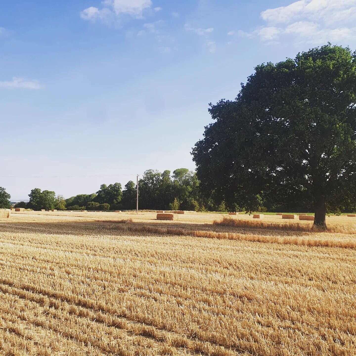 🇬🇧 Many people do not actually enjoy their surroundings at work, but not us! How fortunate are we to be able to use thousands of acres of Great British countryside as our workplace?! 😎😎