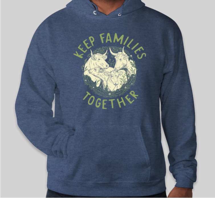 Screenshot 2025-11-19 at 11.11.10 AM.png