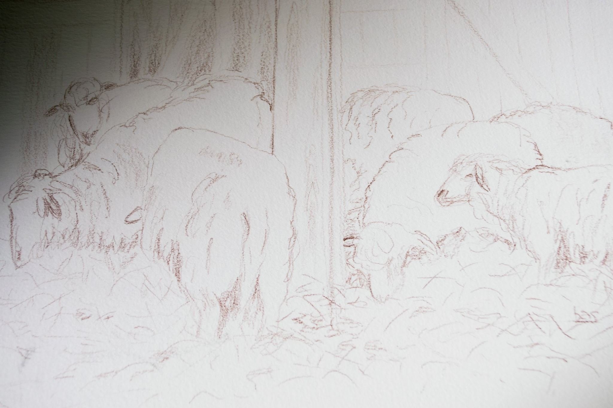 Sketch of sheep by Barbara.jpg