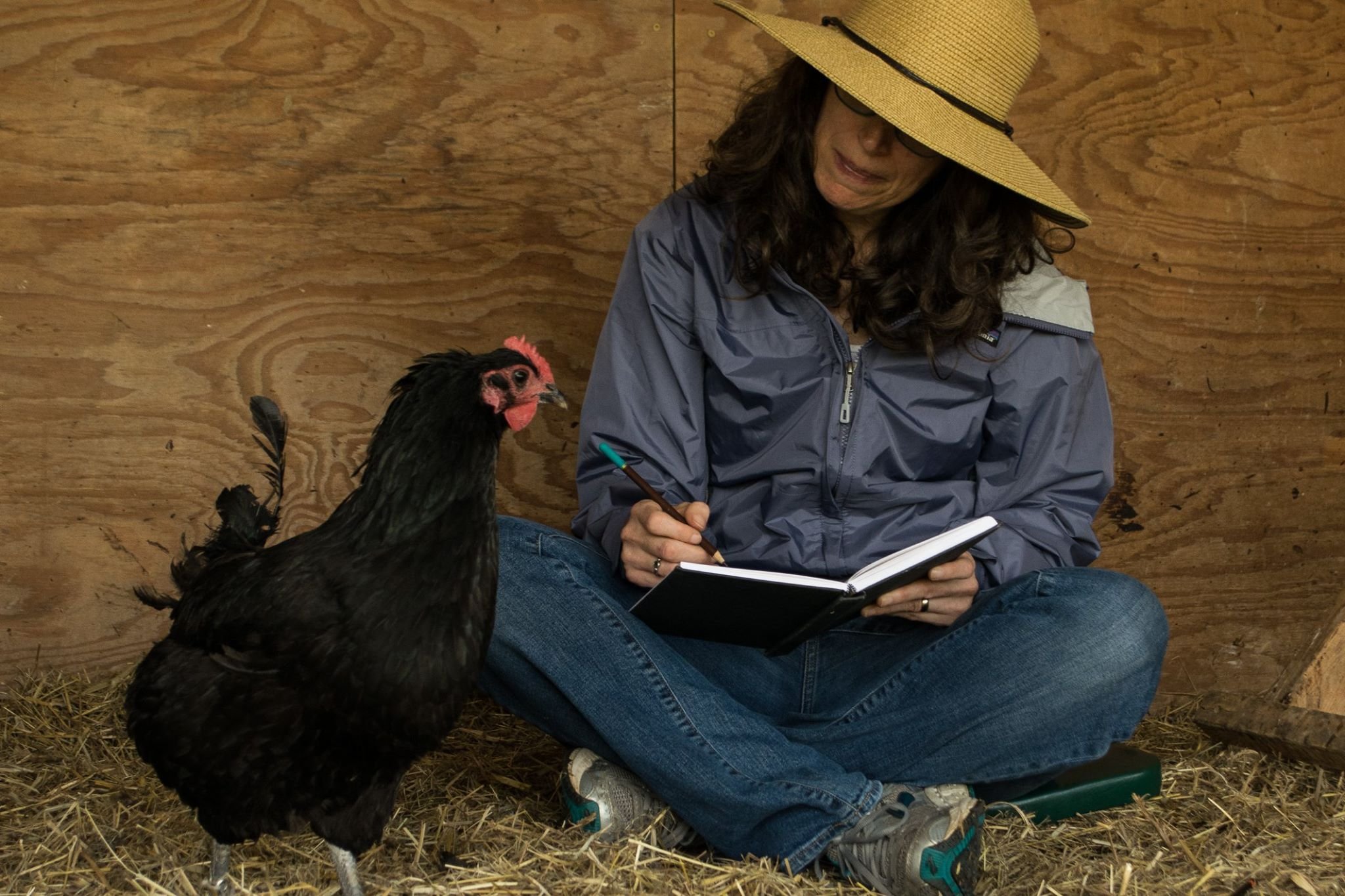 Barbara sketches with chickens.jpg