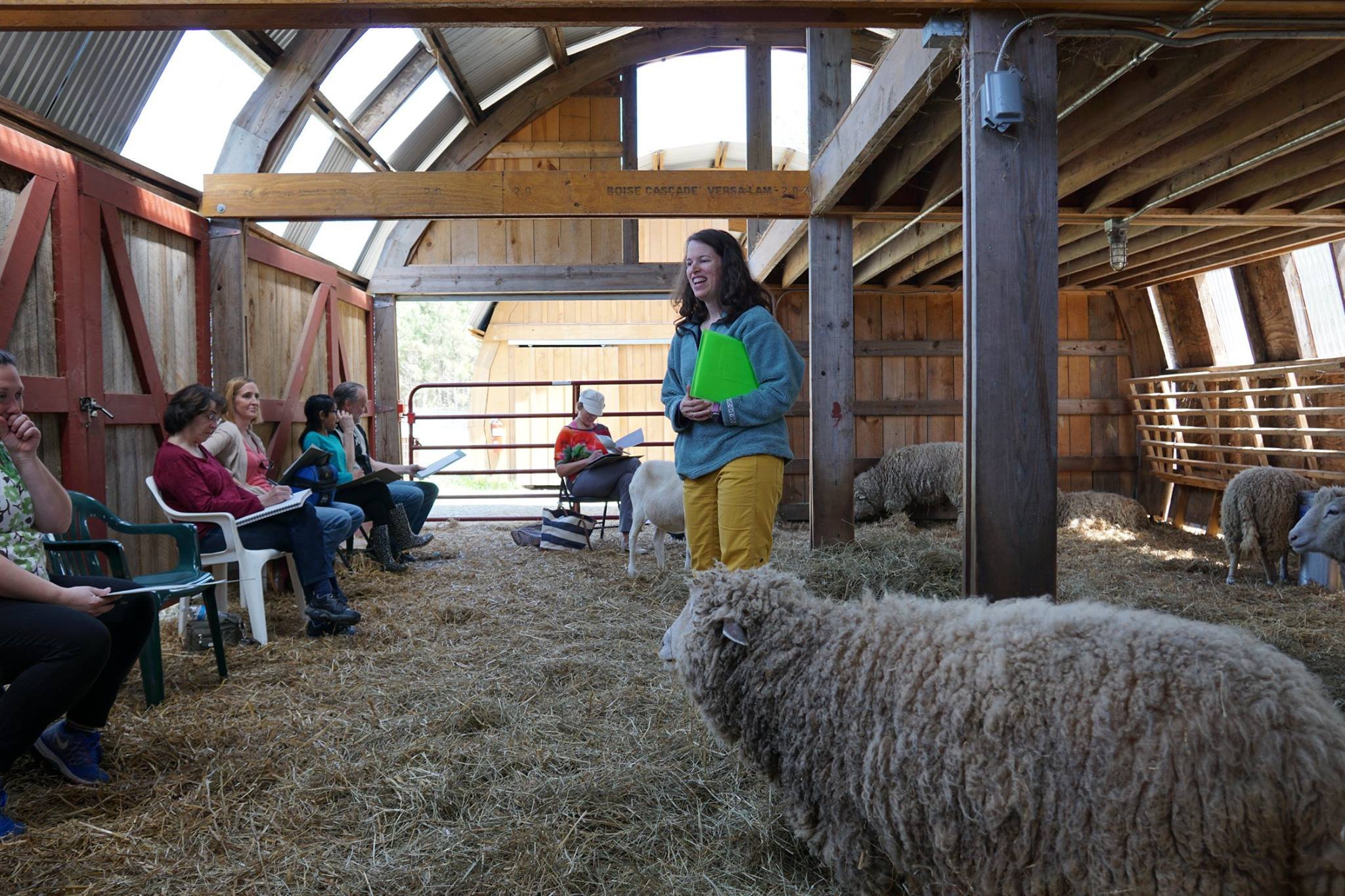 Hosting Sketching with Sheep class