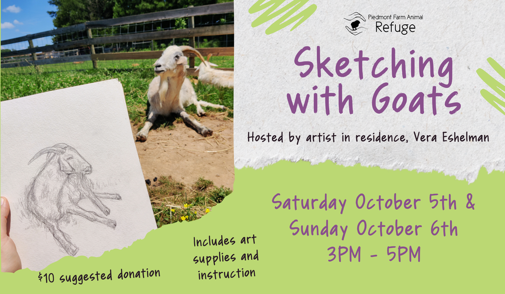2024-10-News-Web_Sketching-with-Goats.png