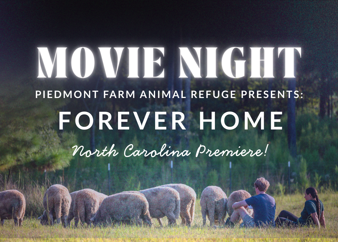Movie Night: Forever Home NC Premiere!