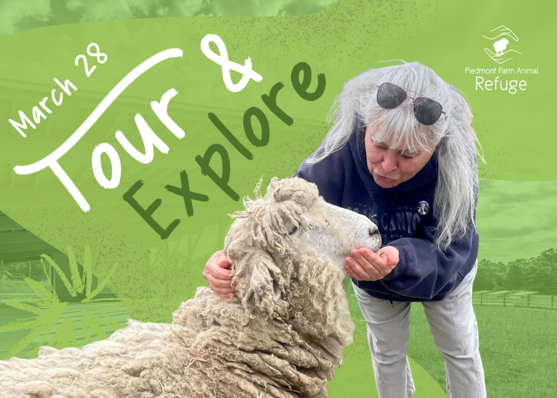 March 2026 Tour &amp; Explore at the Refuge!
