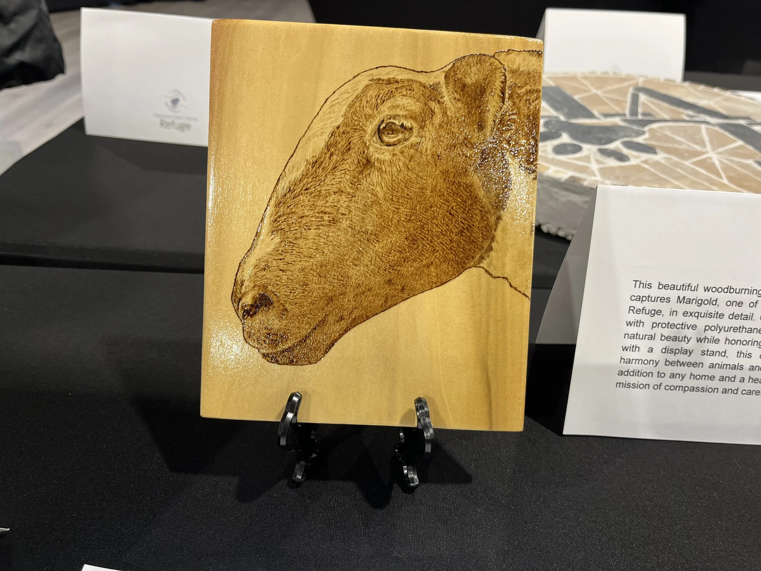 Pyrography of Marigold 