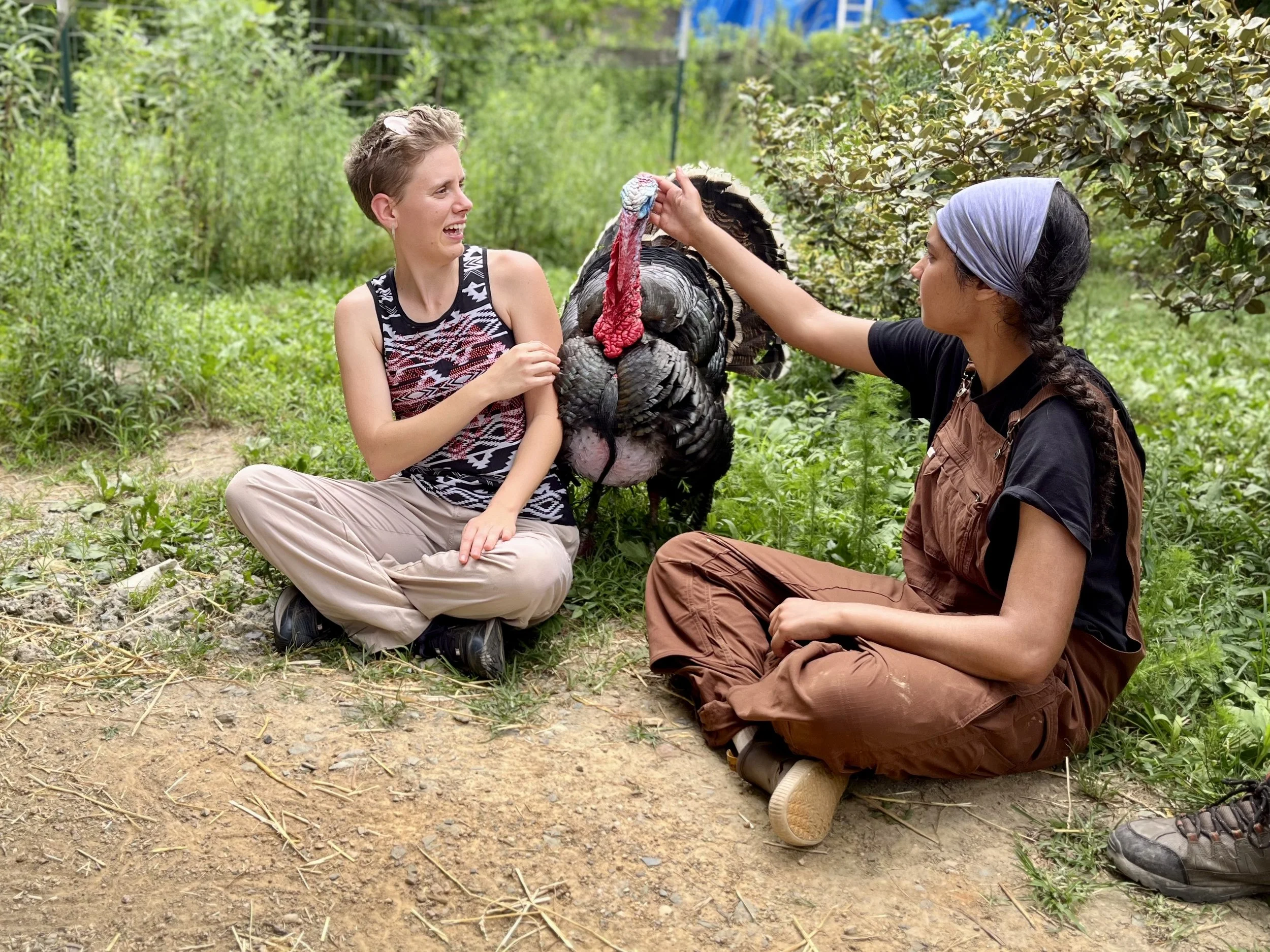 Sarah-Lyona and Blackberry