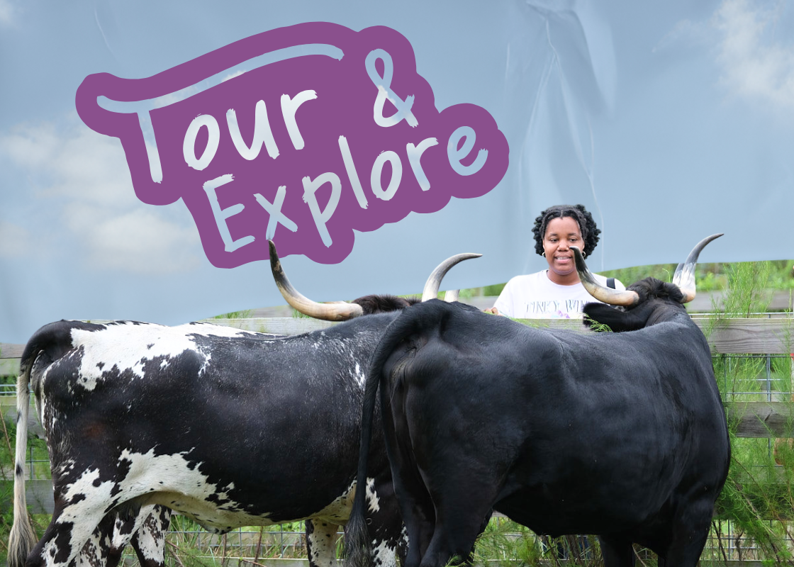 June 2026 Pride Month Tour &amp; Explore at the Refuge!