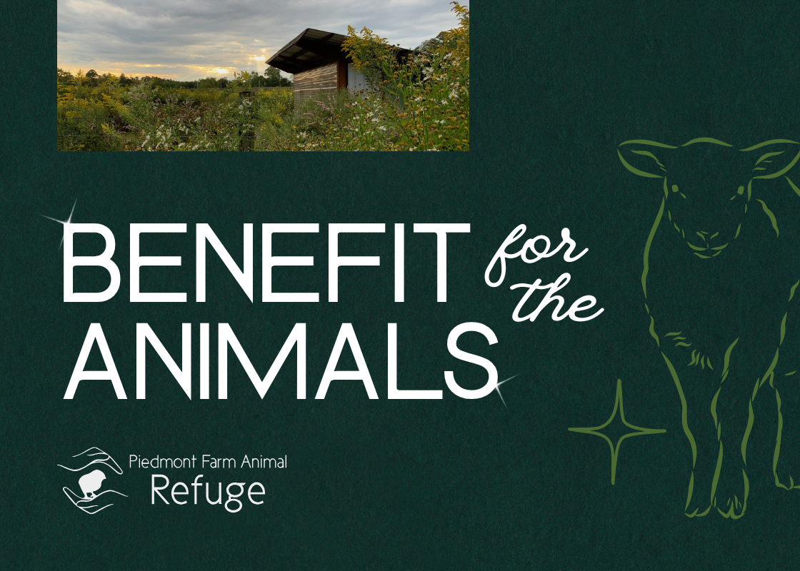 Benefit for the Animals