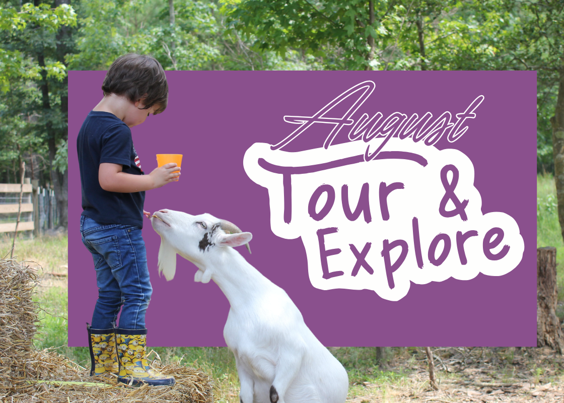 August 2026 Tour &amp; Explore at the Refuge!