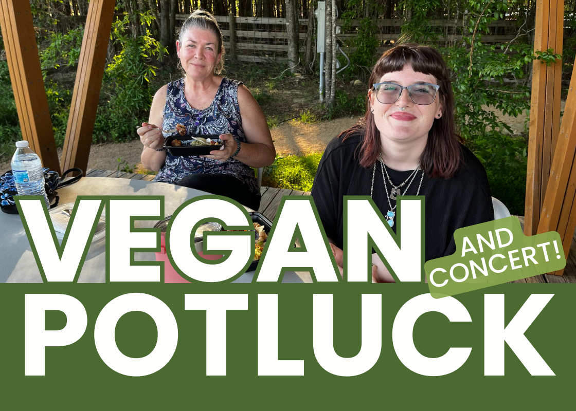 2026 Summer Vegan Potluck!
