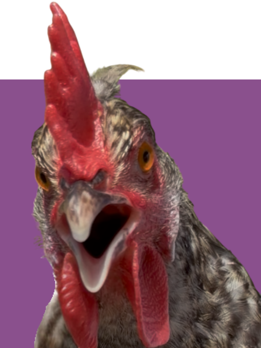 Jem