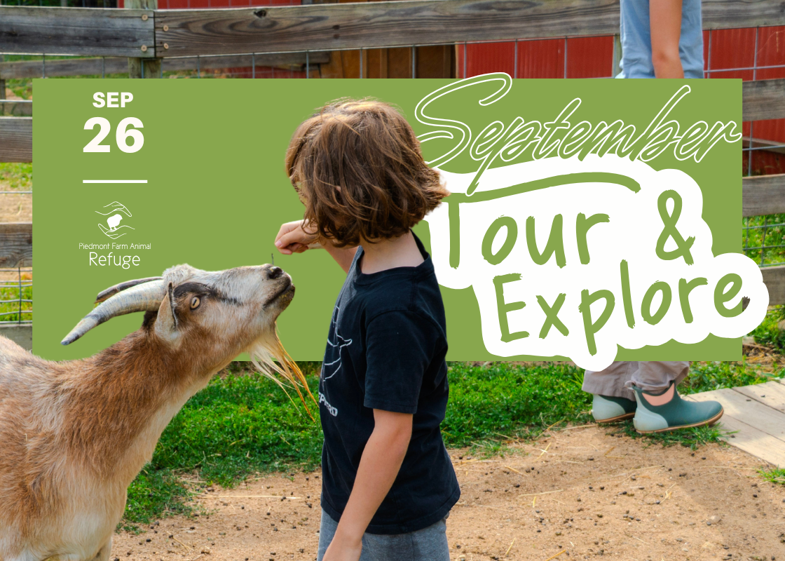 September 2026 Tour &amp; Explore at the Refuge! 