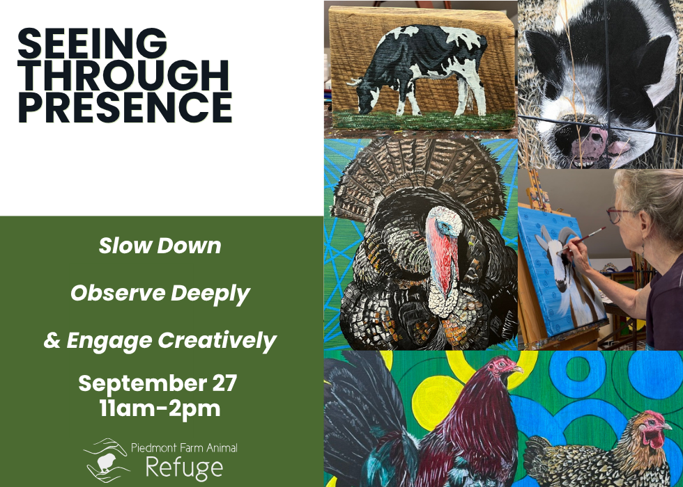 Seeing Through Presence: A Creative Workshop at the Refuge