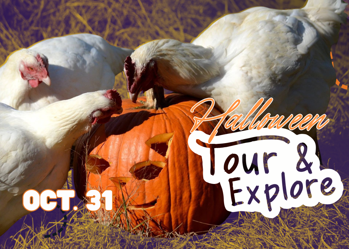Halloween 2026 Tour &amp; Explore at the Refuge! 