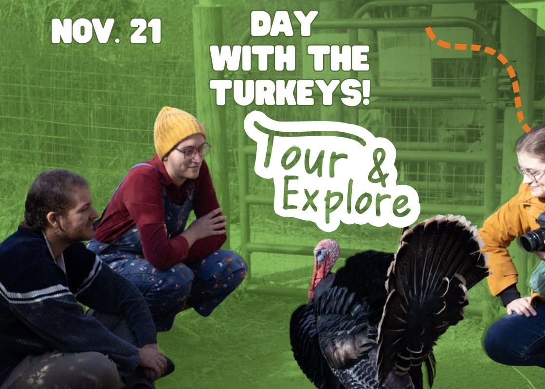 Day With The Turkeys 2026 Tour &amp; Explore at the Refuge!