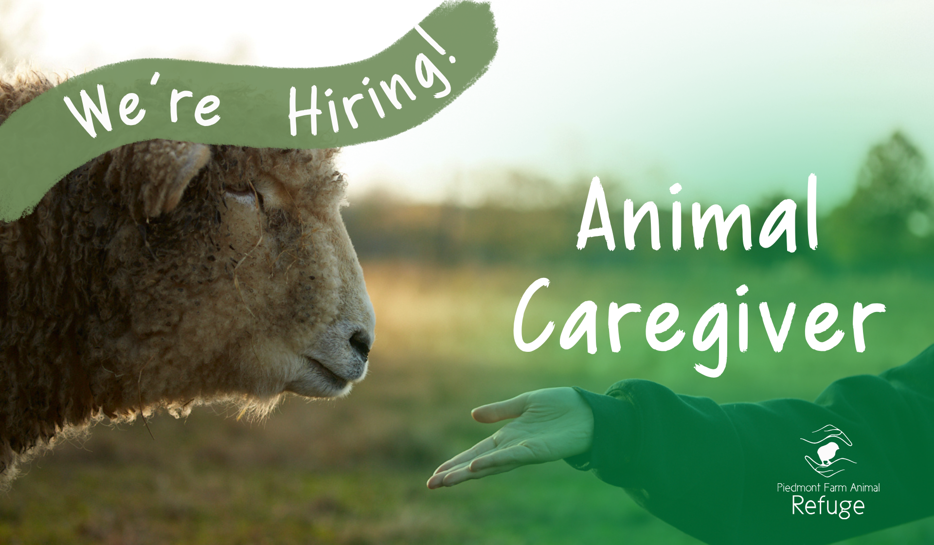 News-Web 2026 ACG Hiring.png