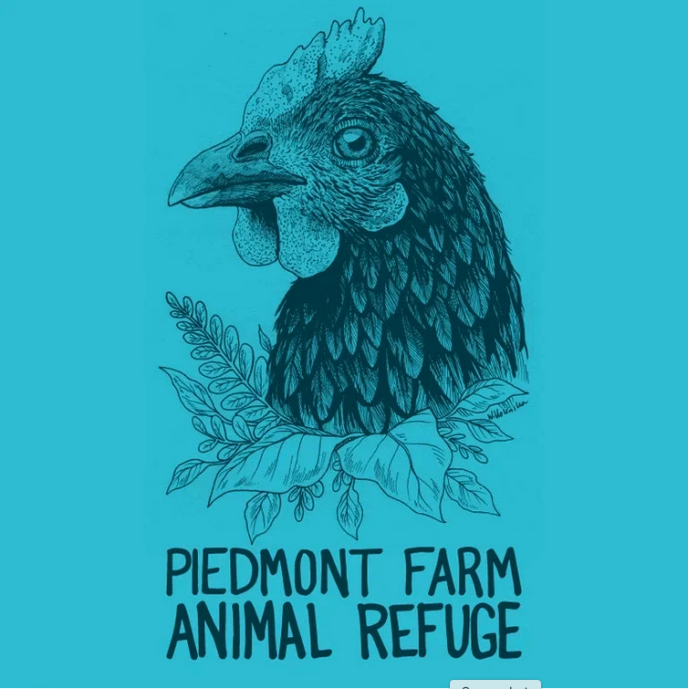 Screenshot 2025-11-19 at 11.20.42 AM.png