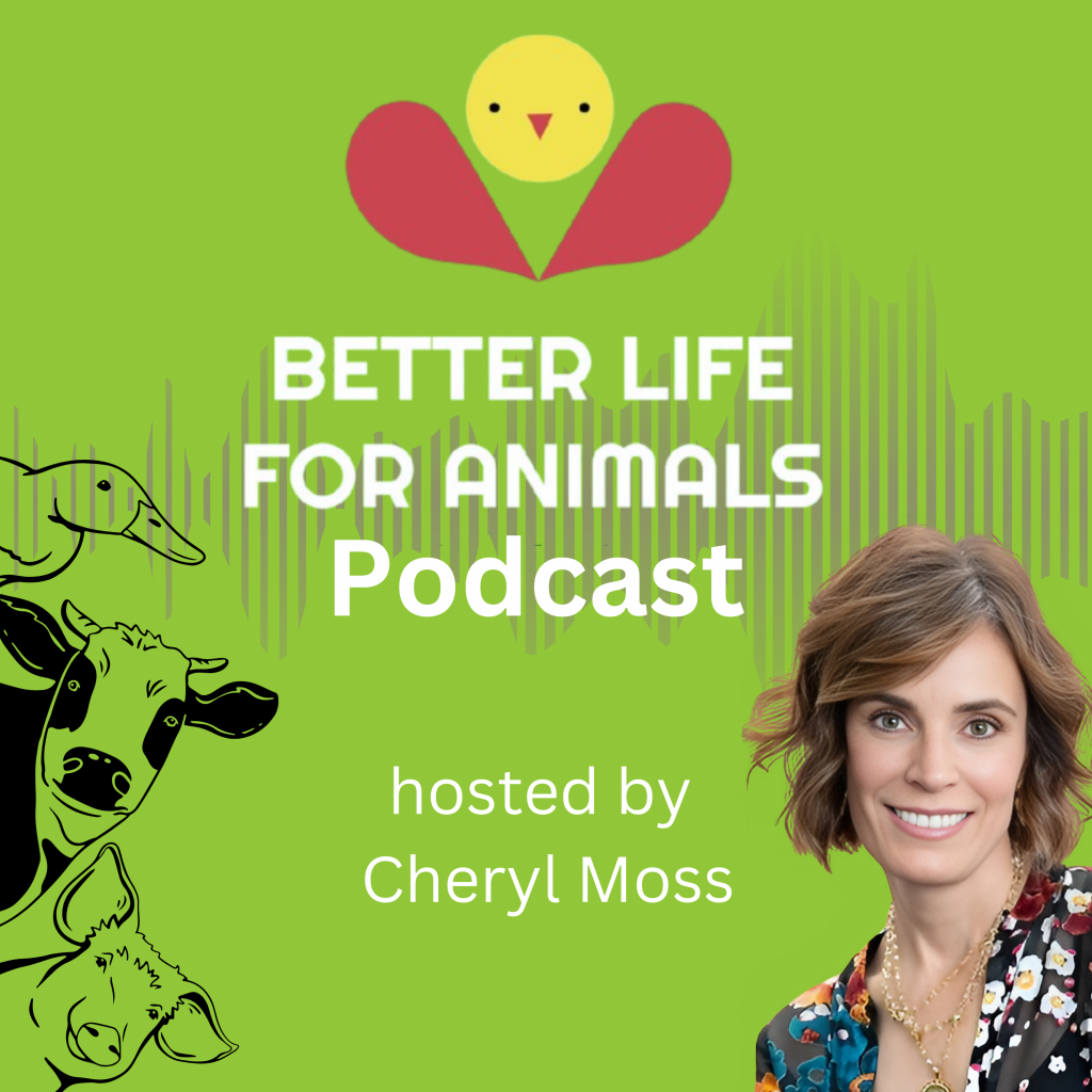 Better Life For Animals - Interview with Lenore and Paul