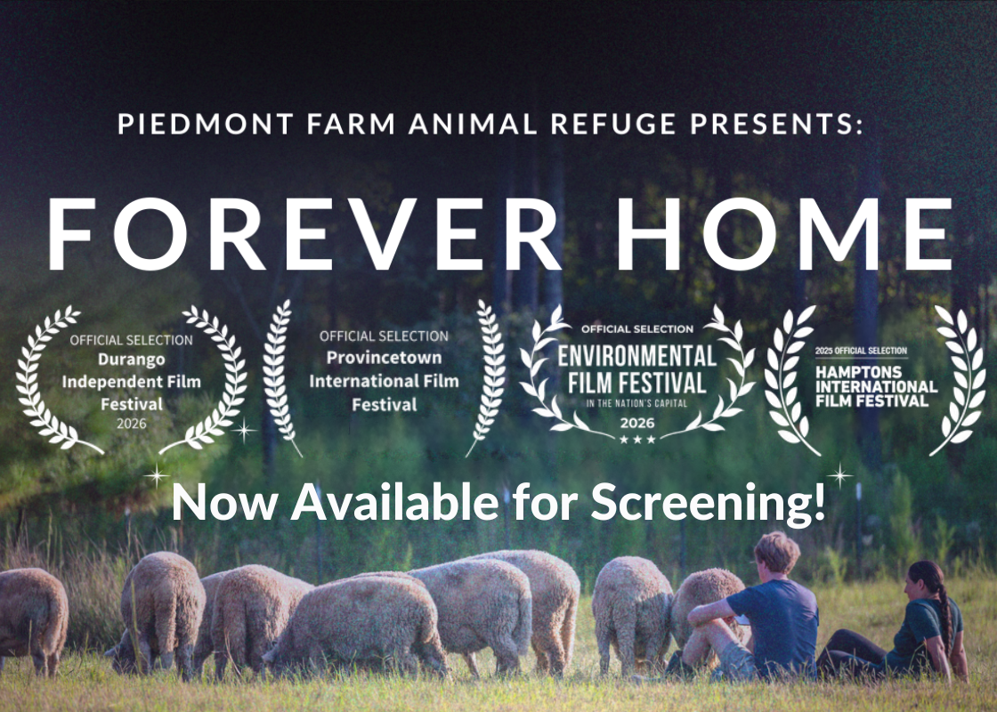 Forever Home 2026 Graphic 3.png