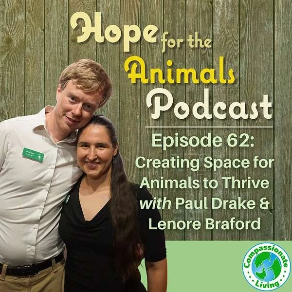 Interview: Creating Spaces for Animals to Thrive