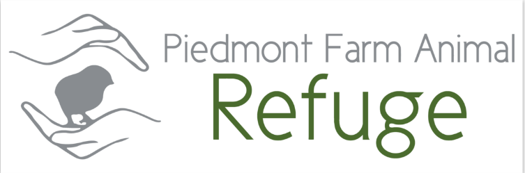 Screenshot+2024-12-06+at+10.38.25 AM.jpg