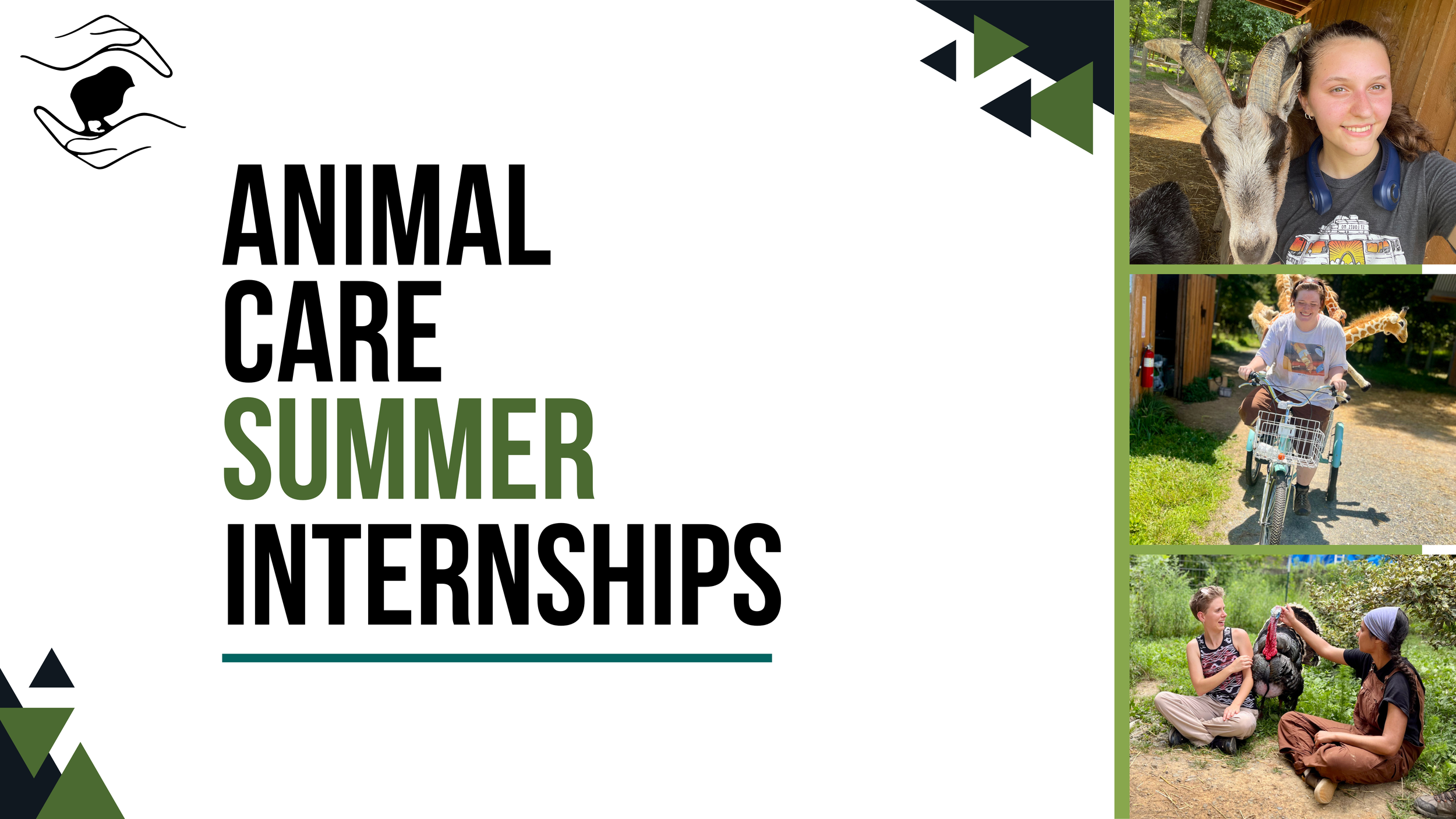 Summer Internships 2025 newsletter 4(1).png