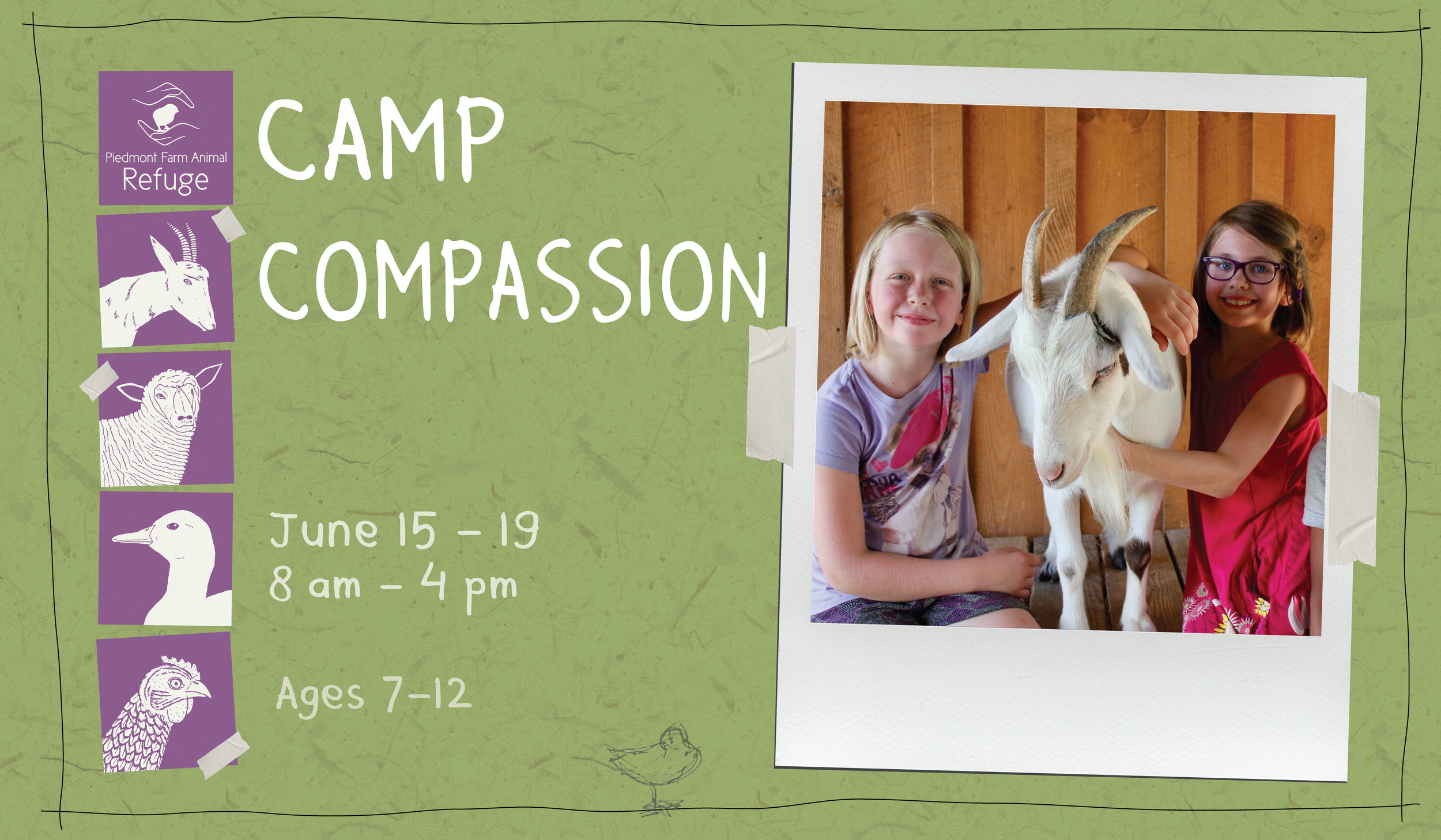 CAMP News-Web-01(1).png