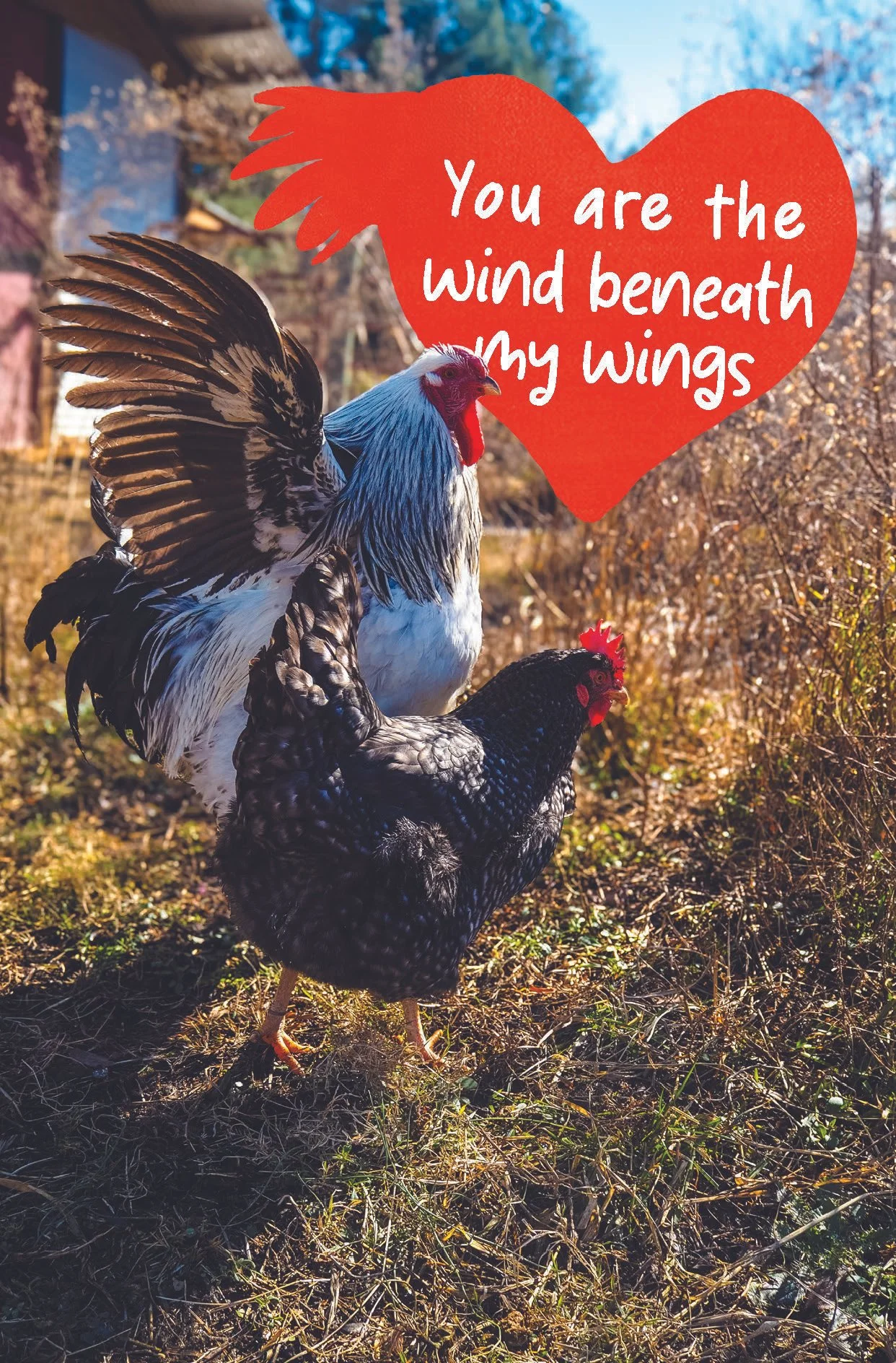 You Are the Wind.jpg