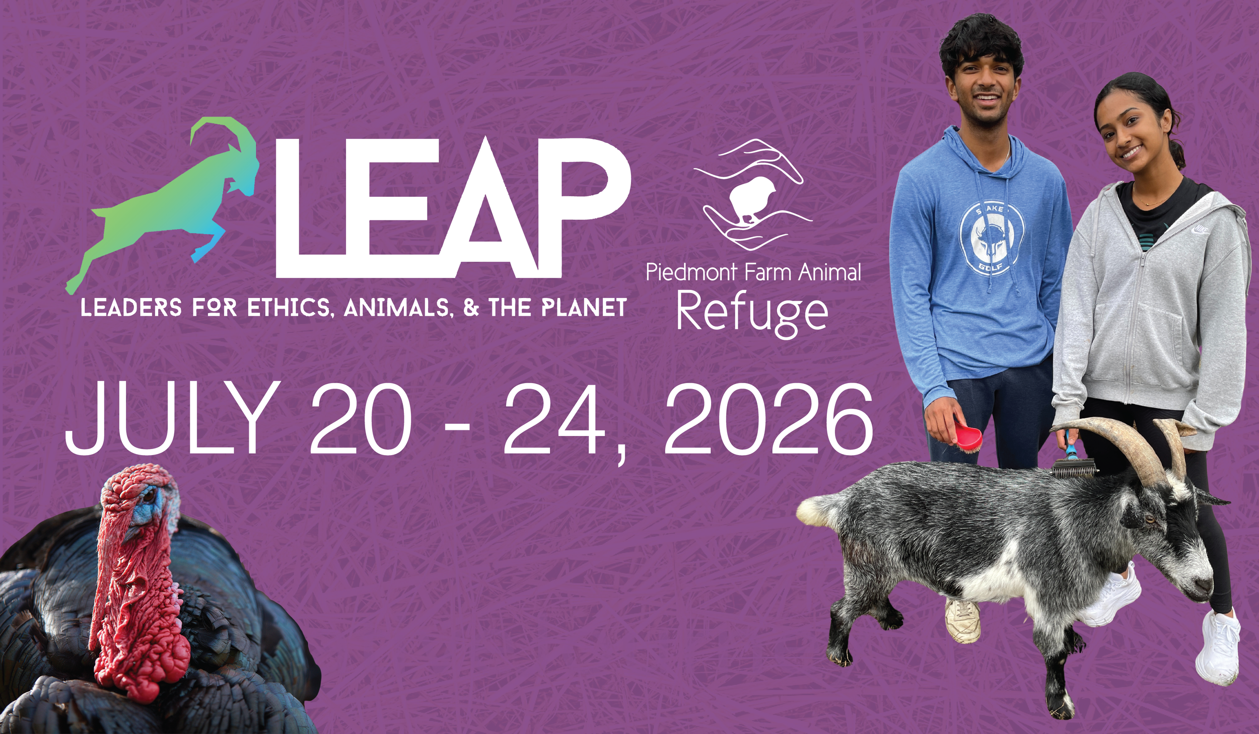 LEAP News-Web-01.png