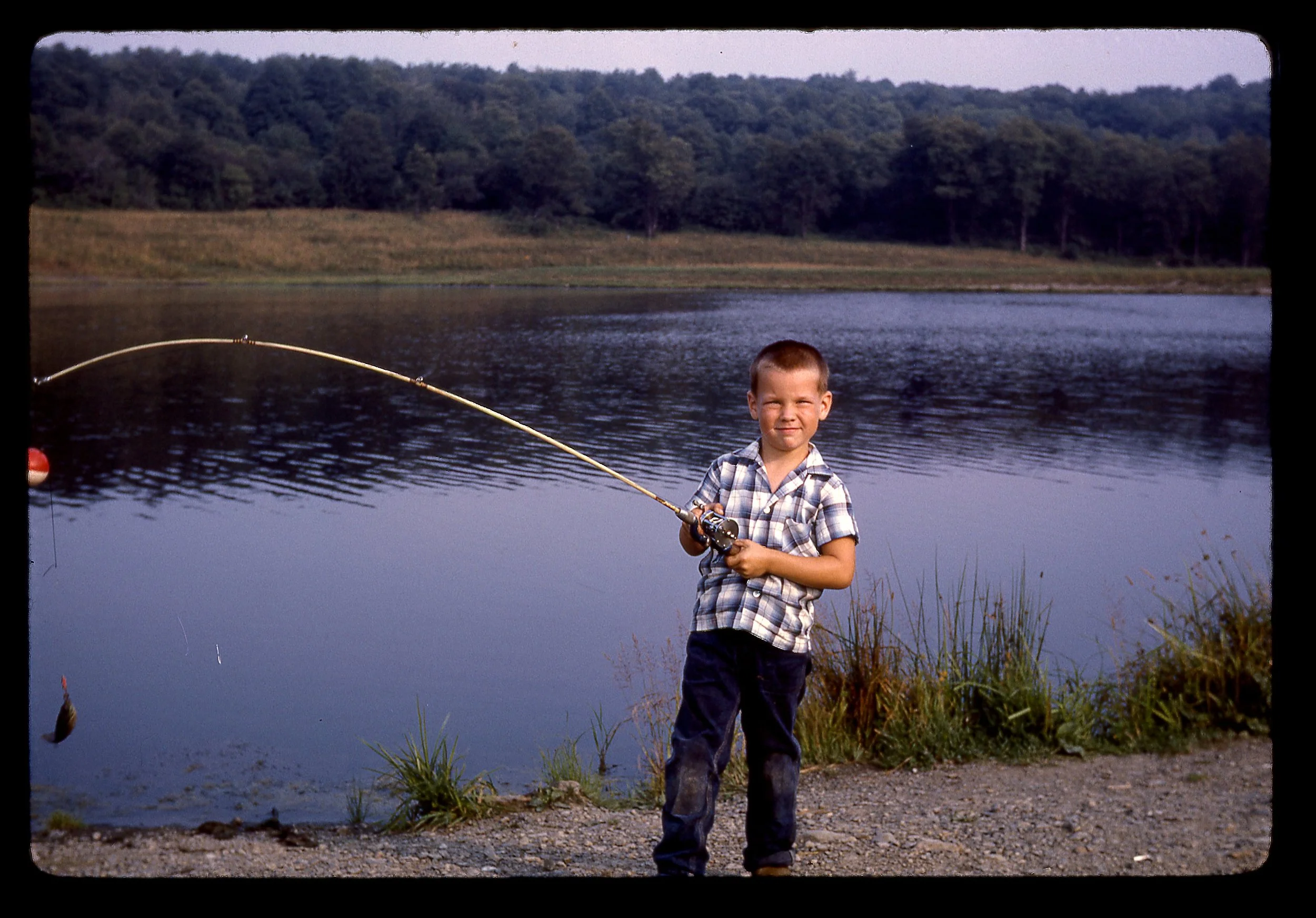 A young boy with short hair, wearing a plaid shirt and dark pants, stands on the lakeshore holding a fishing rod with a fish on the line, near a body of water with trees and grass in the background.